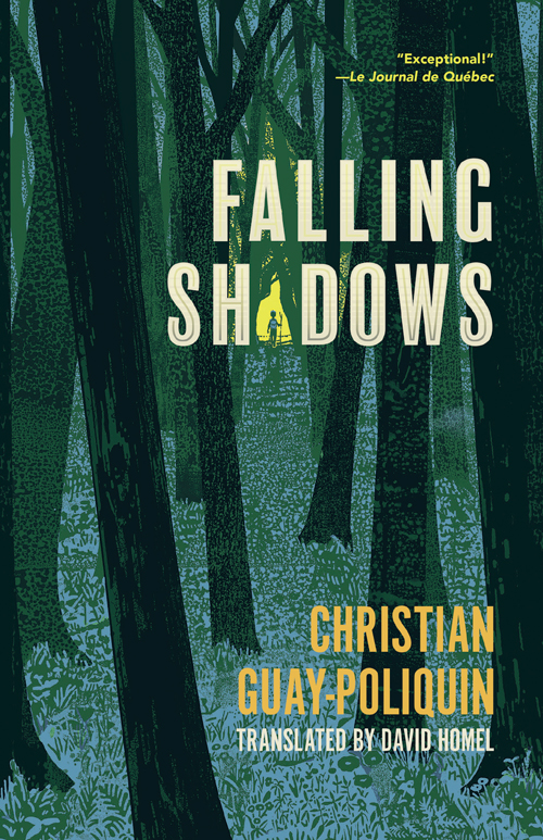 Falling ShadowsFront Cover