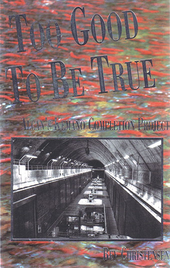 Too Good to Be True Front Cover