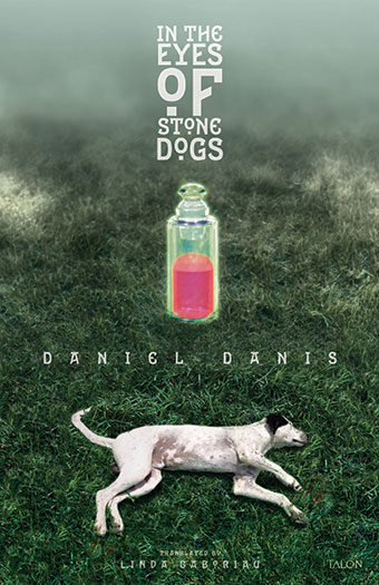 In the Eyes of Stone Dogs Front Cover