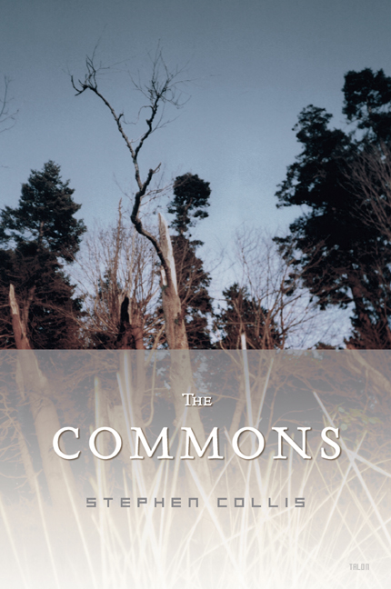 The Commons Front Cover