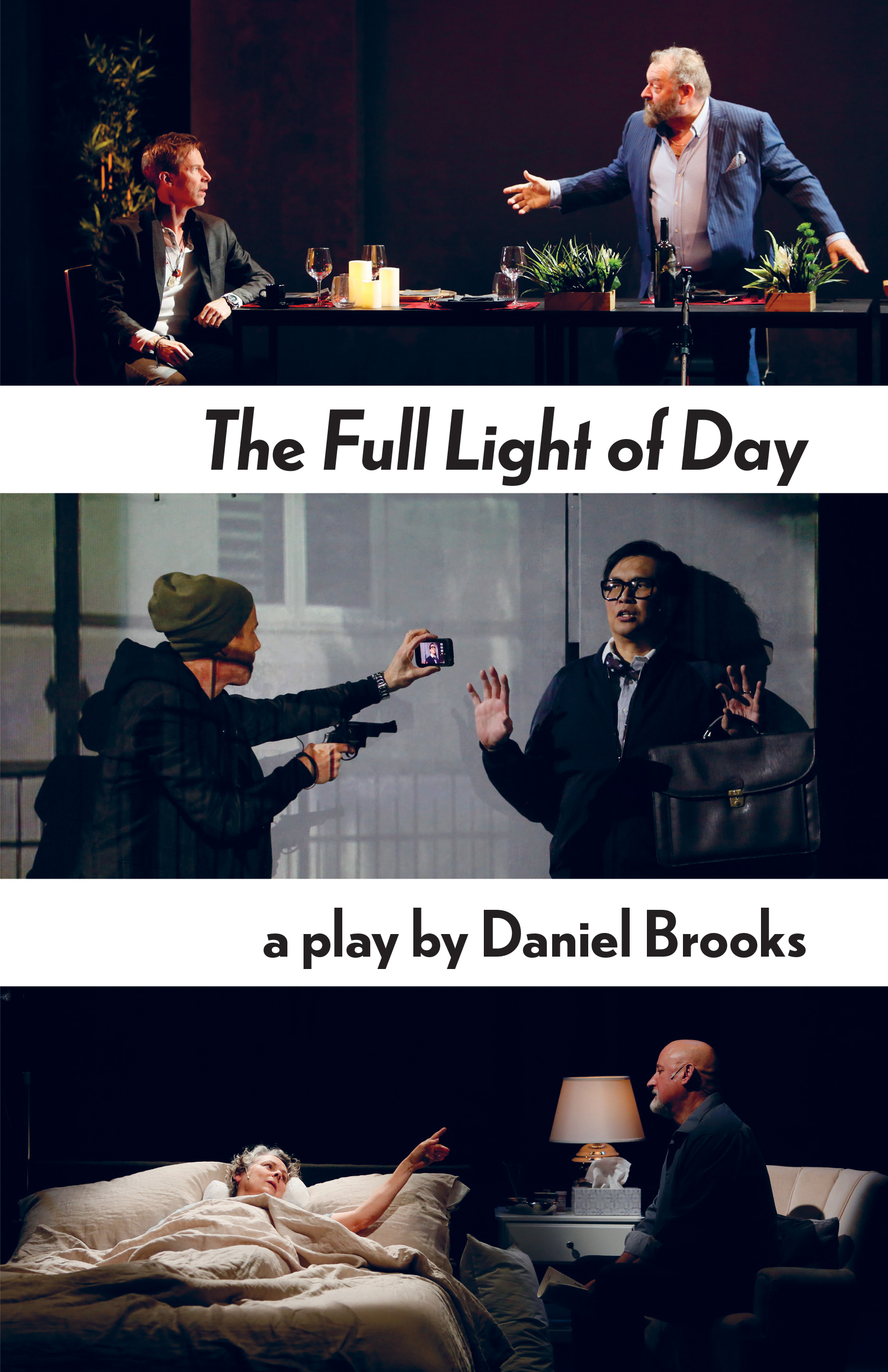 The Full Light of Day Front Cover